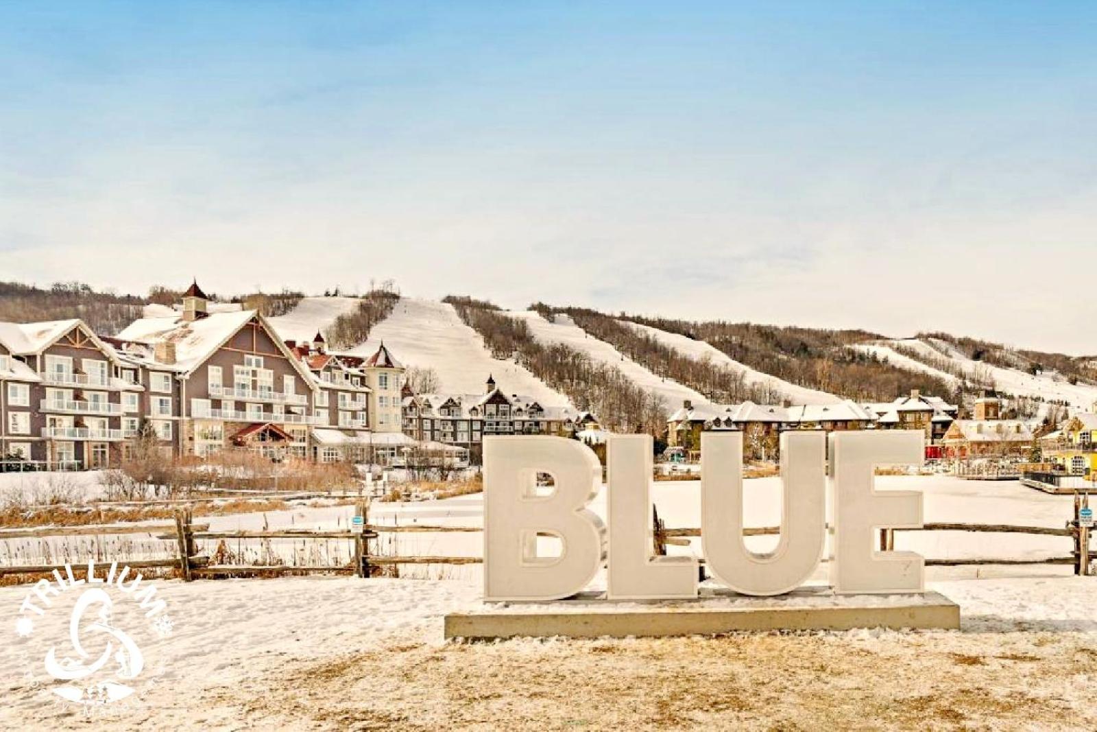 Blue Mountain, Collingwood - Loft Condo, Sleeps 4 Montanhas Azuis Exterior foto