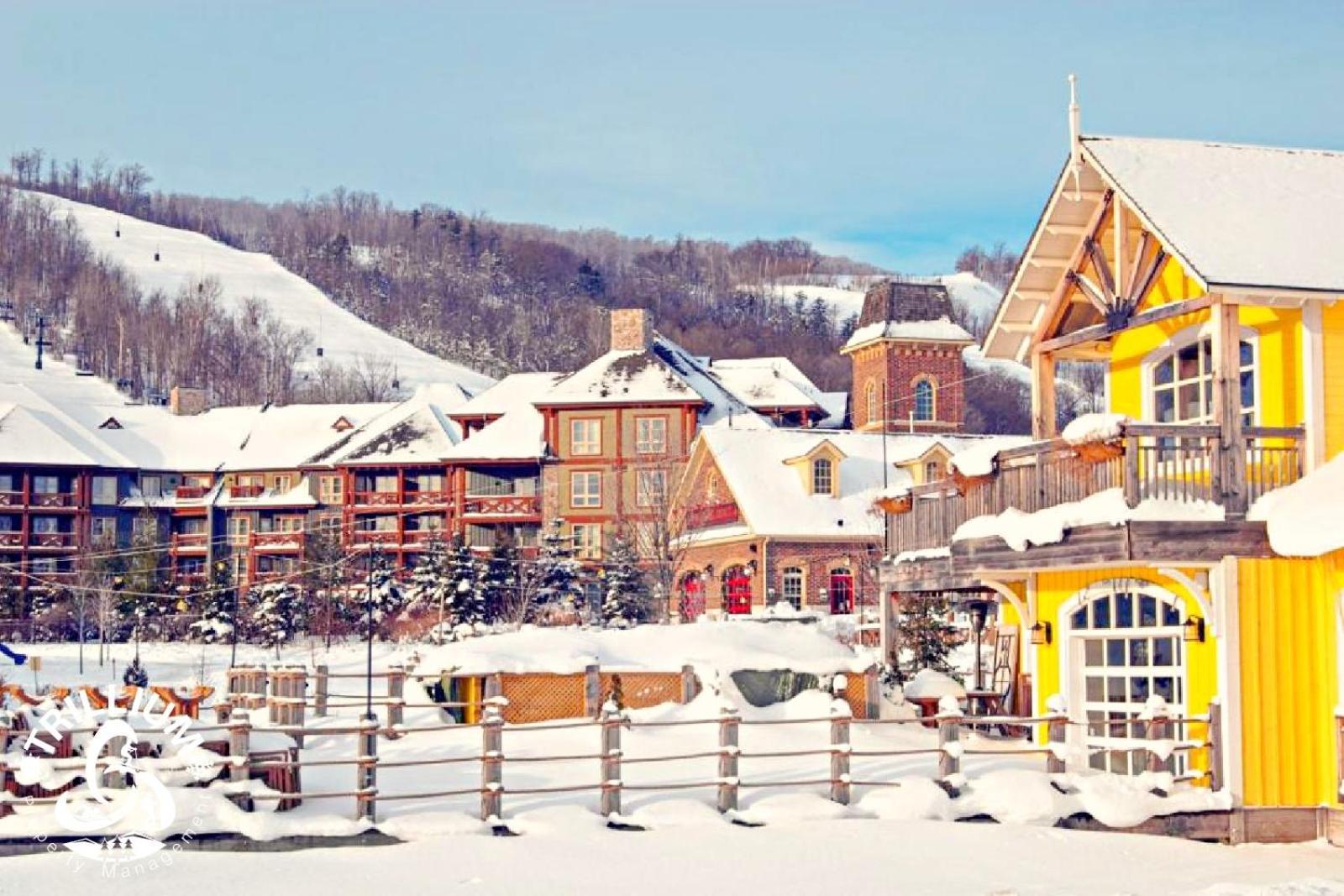 Blue Mountain, Collingwood - Loft Condo, Sleeps 4 Montanhas Azuis Exterior foto