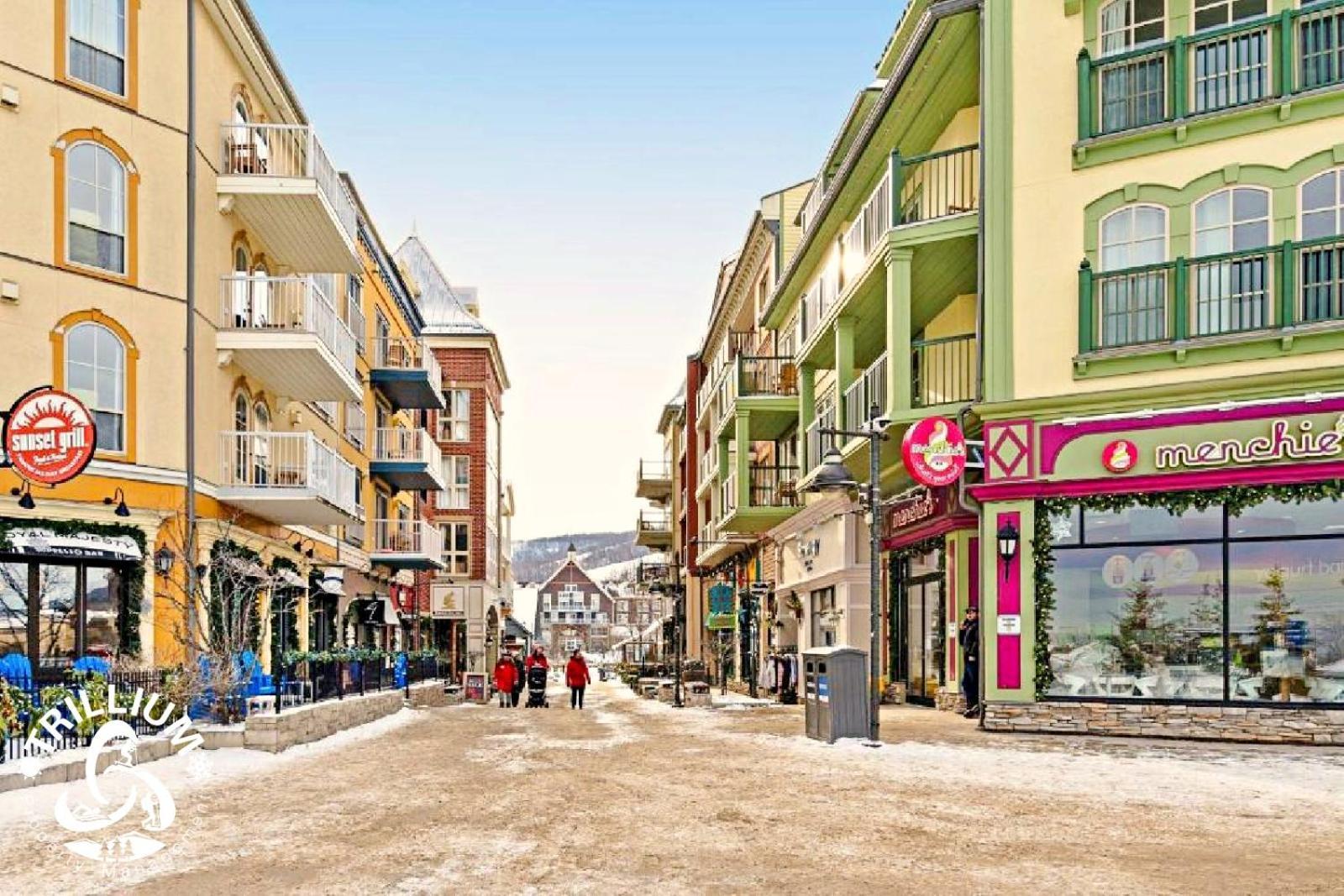 Blue Mountain, Collingwood - Loft Condo, Sleeps 4 Montanhas Azuis Exterior foto